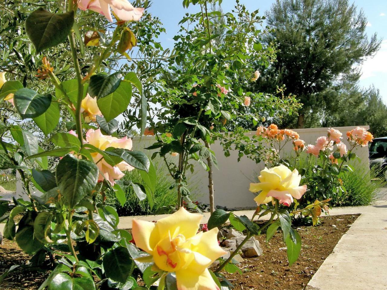סרימה Apartment Maslina-3 By Interhome מראה חיצוני תמונה